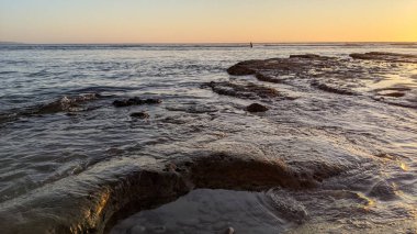 Güney Kaliforniya Pasifik sahili eski resifler, gelgit havuzları, okyanus dalgaları, palmiye ağaçları, sörf tahtaları ve deniz kuşlarının yanı sıra sıcak görünüşlü günbatımı gökyüzü ve Swamis Resif Parkı Encinitas kaya soyutlamaları..