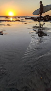 Günbatımları, sörfçüler, gelgit havuzları, palmiye ağaçları ve Swamis Resif Parkı Encinitas California sahilindeki doğal yontulmuş plaj kayaları olan Güney Kaliforniya sahili manzarası..