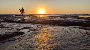 Günbatımları, sörfçüler, gelgit havuzları, palmiye ağaçları ve Swamis Resif Parkı Encinitas California sahilindeki doğal yontulmuş plaj kayaları olan Güney Kaliforniya sahili manzarası..