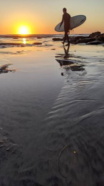 Günbatımları, sörfçüler, gelgit havuzları, palmiye ağaçları ve Swamis Resif Parkı Encinitas California sahilindeki doğal yontulmuş plaj kayaları olan Güney Kaliforniya sahili manzarası..