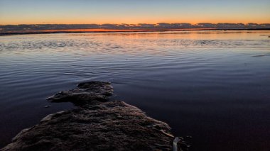 Günbatımları, sörfçüler, gelgit havuzları, palmiye ağaçları ve Swamis Resif Parkı Encinitas California sahilindeki doğal yontulmuş plaj kayaları olan Güney Kaliforniya sahili manzarası..