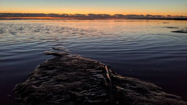 Günbatımları, sörfçüler, gelgit havuzları, palmiye ağaçları ve Swamis Resif Parkı Encinitas California sahilindeki doğal yontulmuş plaj kayaları olan Güney Kaliforniya sahili manzarası..