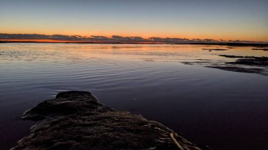 Günbatımları, sörfçüler, gelgit havuzları, palmiye ağaçları ve Swamis Resif Parkı Encinitas California sahilindeki doğal yontulmuş plaj kayaları olan Güney Kaliforniya sahili manzarası..