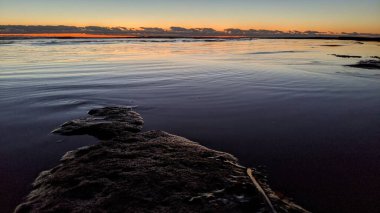 Günbatımları, sörfçüler, gelgit havuzları, palmiye ağaçları ve Swamis Resif Parkı Encinitas California sahilindeki doğal yontulmuş plaj kayaları olan Güney Kaliforniya sahili manzarası..