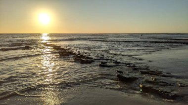 San Diego yakınlarındaki Güney Kaliforniya plajları. Günbatımları, sörfçüler, gelgit havuzları, palmiye ağaçları ve Encinitas kıyılarındaki Swamis Resif Sörf Parkı 'ndaki serin dalgalar..