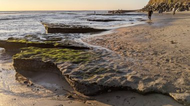 San Diego yakınlarındaki Güney Kaliforniya plajları. Günbatımları, sörfçüler, gelgit havuzları, palmiye ağaçları ve Encinitas kıyılarındaki Swamis Resif Sörf Parkı 'ndaki serin dalgalar..