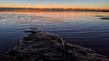 Swamis Sahili 'nin erimiş kayaları 50 yıl önce Swamis Resif Sörf Parkı Encinitas California' daki sahil dalgaları tarafından düzleştirilmiş ve şekillendirilmiş gerçekten erozyon kontrol kayalarıdır..
