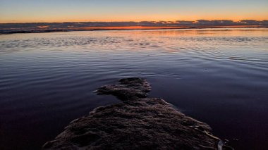 Swamis Sahili 'nin erimiş kayaları 50 yıl önce Swamis Resif Sörf Parkı Encinitas California' daki sahil dalgaları tarafından düzleştirilmiş ve şekillendirilmiş gerçekten erozyon kontrol kayalarıdır..