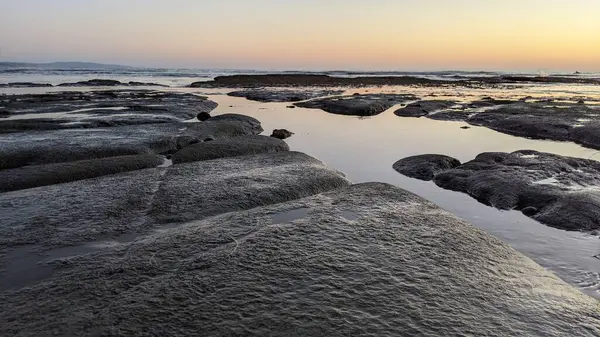 San Diego 'nun kuzeyinde Güney Kaliforniya sahilleri - Encinitas Kaliforniya' daki Swamis Resif Sörf Parkı 'nda günbatımı, sörfçüler, gelgit havuzları, dalgalar, kayalar, kum ve palmiye ağaçları.