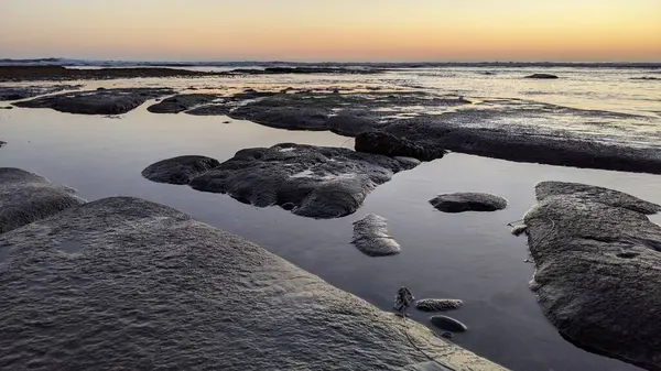 San Diego 'nun kuzeyinde Güney Kaliforniya sahilleri - Encinitas Kaliforniya' daki Swamis Resif Sörf Parkı 'nda günbatımı, sörfçüler, gelgit havuzları, dalgalar, kayalar, kum ve palmiye ağaçları.