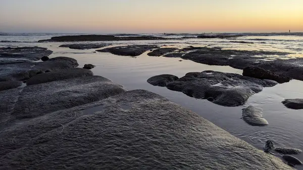 San Diego 'nun kuzeyinde Güney Kaliforniya sahilleri - Encinitas Kaliforniya' daki Swamis Resif Sörf Parkı 'nda günbatımı, sörfçüler, gelgit havuzları, dalgalar, kayalar, kum ve palmiye ağaçları.