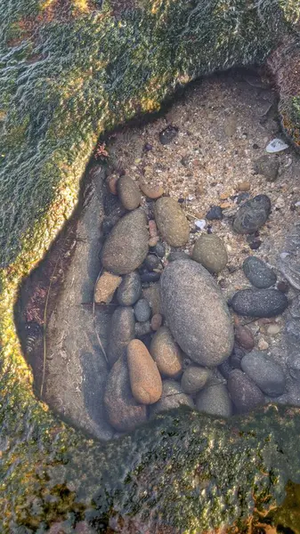 San Diego 'nun kuzeyinde Güney Kaliforniya sahilleri - Encinitas Kaliforniya' daki Swamis Resif Sörf Parkı 'nda günbatımı, sörfçüler, gelgit havuzları, dalgalar, kayalar, kum ve palmiye ağaçları.