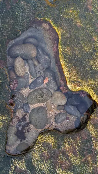 San Diego 'nun kuzeyinde Güney Kaliforniya sahilleri - Encinitas Kaliforniya' daki Swamis Resif Sörf Parkı 'nda günbatımı, sörfçüler, gelgit havuzları, dalgalar, kayalar, kum ve palmiye ağaçları.