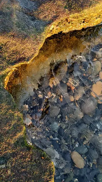 Güney Kaliforniya Pasifik sahili eski resifler, gelgit havuzları, okyanus dalgaları, palmiye ağaçları, sörf tahtaları ve deniz kuşlarının yanı sıra sıcak görünüşlü günbatımı gökyüzü ve Swamis Resif Parkı Encinitas kaya soyutlamaları..