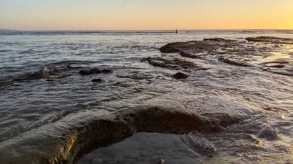 Güney Kaliforniya Pasifik sahili eski resifler, gelgit havuzları, okyanus dalgaları, palmiye ağaçları, sörf tahtaları ve deniz kuşlarının yanı sıra sıcak görünüşlü günbatımı gökyüzü ve Swamis Resif Parkı Encinitas kaya soyutlamaları..
