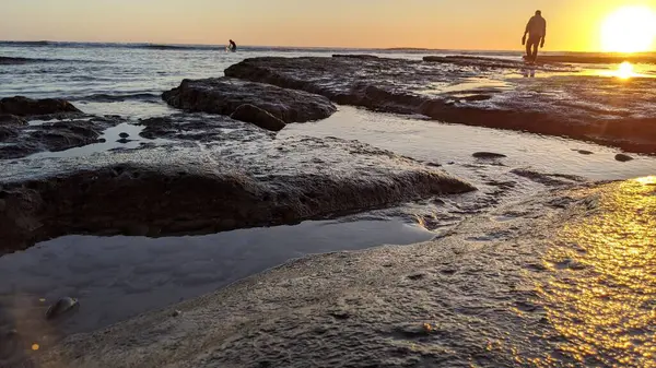 Günbatımları, sörfçüler, gelgit havuzları, palmiye ağaçları ve Swamis Resif Parkı Encinitas California sahilindeki doğal yontulmuş plaj kayaları olan Güney Kaliforniya sahili manzarası..