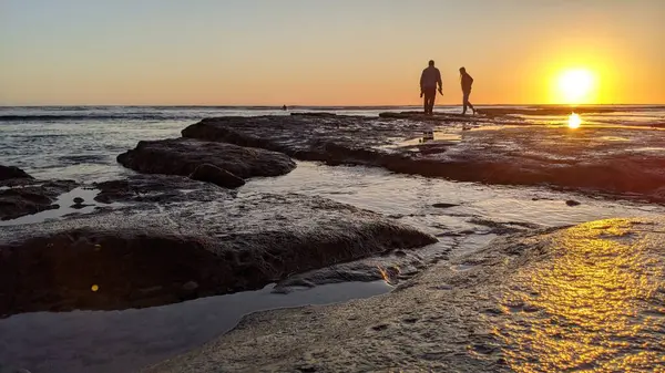 Günbatımları, sörfçüler, gelgit havuzları, palmiye ağaçları ve Swamis Resif Parkı Encinitas California sahilindeki doğal yontulmuş plaj kayaları olan Güney Kaliforniya sahili manzarası..
