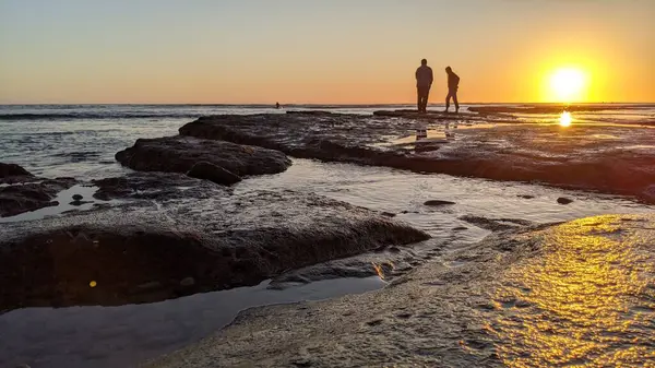 Günbatımları, sörfçüler, gelgit havuzları, palmiye ağaçları ve Swamis Resif Parkı Encinitas California sahilindeki doğal yontulmuş plaj kayaları olan Güney Kaliforniya sahili manzarası..