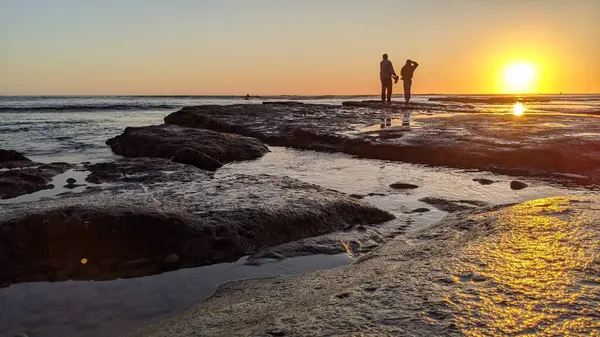 Günbatımları, sörfçüler, gelgit havuzları, palmiye ağaçları ve Swamis Resif Parkı Encinitas California sahilindeki doğal yontulmuş plaj kayaları olan Güney Kaliforniya sahili manzarası..