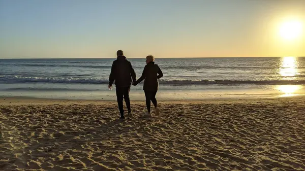 San Diego yakınlarındaki Güney Kaliforniya plajları. Günbatımları, sörfçüler, gelgit havuzları, palmiye ağaçları ve Encinitas kıyılarındaki Swamis Resif Sörf Parkı 'ndaki serin dalgalar..