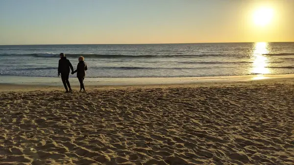 San Diego yakınlarındaki Güney Kaliforniya plajları. Günbatımları, sörfçüler, gelgit havuzları, palmiye ağaçları ve Encinitas kıyılarındaki Swamis Resif Sörf Parkı 'ndaki serin dalgalar..