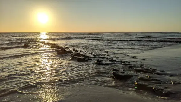 San Diego yakınlarındaki Güney Kaliforniya plajları. Günbatımları, sörfçüler, gelgit havuzları, palmiye ağaçları ve Encinitas kıyılarındaki Swamis Resif Sörf Parkı 'ndaki serin dalgalar..