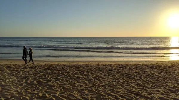 San Diego yakınlarındaki Güney Kaliforniya plajları. Günbatımları, sörfçüler, gelgit havuzları, palmiye ağaçları ve Encinitas kıyılarındaki Swamis Resif Sörf Parkı 'ndaki serin dalgalar..