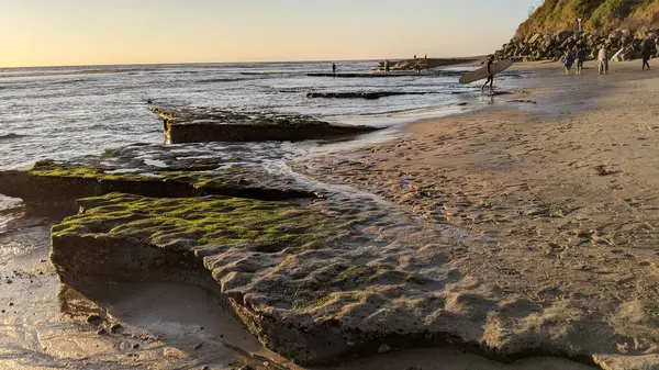 San Diego yakınlarındaki Güney Kaliforniya plajları. Günbatımları, sörfçüler, gelgit havuzları, palmiye ağaçları ve Encinitas kıyılarındaki Swamis Resif Sörf Parkı 'ndaki serin dalgalar..