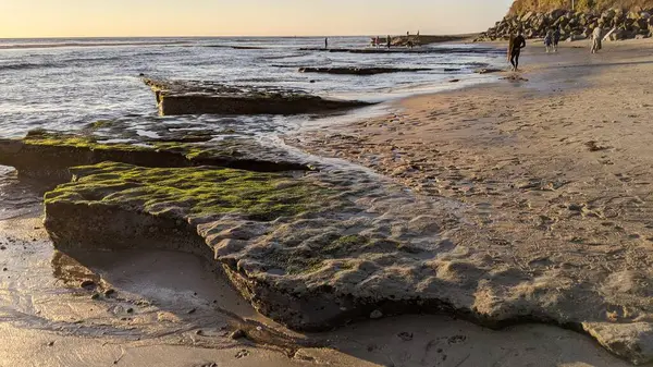 San Diego yakınlarındaki Güney Kaliforniya plajları. Günbatımları, sörfçüler, gelgit havuzları, palmiye ağaçları ve Encinitas kıyılarındaki Swamis Resif Sörf Parkı 'ndaki serin dalgalar..