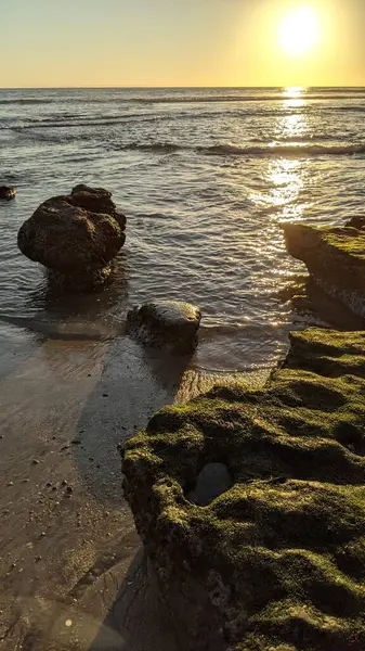 San Diego yakınlarındaki Güney Kaliforniya plajları. Günbatımları, sörfçüler, gelgit havuzları, palmiye ağaçları ve Encinitas kıyılarındaki Swamis Resif Sörf Parkı 'ndaki serin dalgalar..