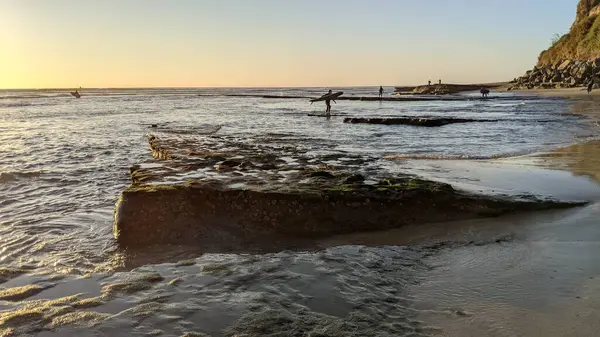 San Diego yakınlarındaki Güney Kaliforniya plajları. Günbatımları, sörfçüler, gelgit havuzları, palmiye ağaçları ve Encinitas kıyılarındaki Swamis Resif Sörf Parkı 'ndaki serin dalgalar..