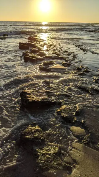 Günbatımında alçak gelgit sahneleri. Encinitas Kaliforniya 'daki Swamis Resif Sörf Parkı' nda eski resif gel-git havuzları, okyanus dalgaları, sörfçüler ve alacakaranlık renkli gökyüzü..