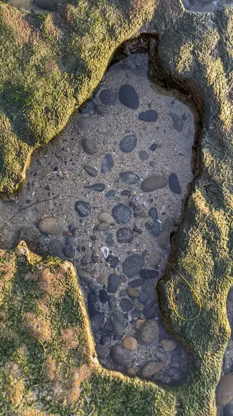 Günbatımında alçak gelgit sahneleri. Encinitas Kaliforniya 'daki Swamis Resif Sörf Parkı' nda eski resif gel-git havuzları, okyanus dalgaları, sörfçüler ve alacakaranlık renkli gökyüzü..