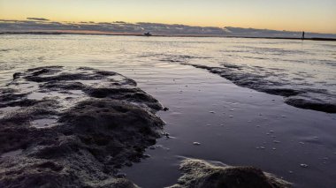 Swamis Resif Parkı Encinitas 'ta gelgit havuzları, okyanus dalgaları ve alacakaranlık renkli gökyüzü olan antik bir resifte günbatımı sörf sahnesi..