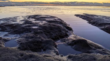 Swamis Resif Parkı Encinitas 'ta gelgit havuzları, okyanus dalgaları ve alacakaranlık renkli gökyüzü olan antik bir resifte günbatımı sörf sahnesi..