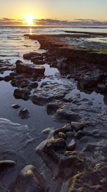 Swamis Resif Parkı Encinitas 'ta gelgit havuzları, okyanus dalgaları ve alacakaranlık renkli gökyüzü olan antik bir resifte günbatımı sörf sahnesi..