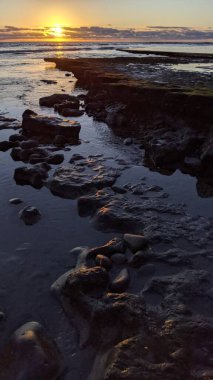 Güney Kaliforniya plajları, günbatımları, dalgalar, sörfçüler, gelgit havuzları, bulutlar ve palmiye ağaçları Encinitas California 'daki Swamis Resif Sörf Parkı' nda. San Diego 'nun 25 mil kuzeyinde yer alıyor..