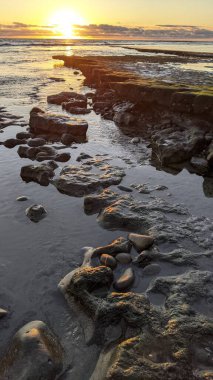 Güney Kaliforniya plajları, günbatımları, dalgalar, sörfçüler, gelgit havuzları, bulutlar ve palmiye ağaçları Encinitas California 'daki Swamis Resif Sörf Parkı' nda. San Diego 'nun 25 mil kuzeyinde yer alıyor..
