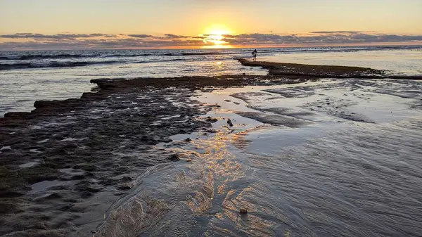 Swamis Resif Parkı Encinitas 'ta gelgit havuzları, okyanus dalgaları ve alacakaranlık renkli gökyüzü olan antik bir resifte günbatımı sörf sahnesi..
