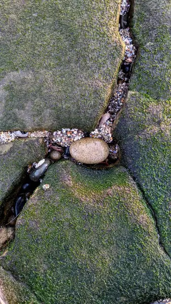 Swamis Resif Parkı Encinitas 'ta gelgit havuzları, okyanus dalgaları ve alacakaranlık renkli gökyüzü olan antik bir resifte günbatımı sörf sahnesi..