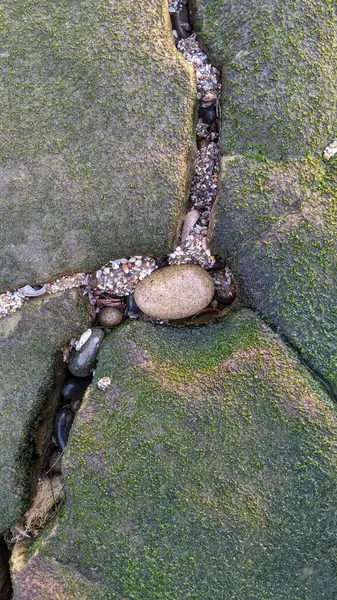 Swamis Resif Parkı Encinitas 'ta gelgit havuzları, okyanus dalgaları ve alacakaranlık renkli gökyüzü olan antik bir resifte günbatımı sörf sahnesi..
