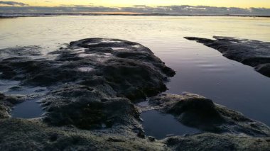 Güney Kaliforniya plaj manzarası - Encinitas California 'daki Swamis Resif Sörf Parkı' nda günbatımı, sörfçüler, gelgit havuzları, dalgalar, kayalar, kum ve palmiye ağaçları.