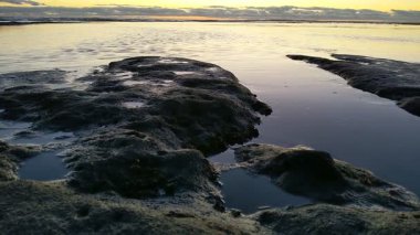 Güney Kaliforniya plaj manzarası - Encinitas California 'daki Swamis Resif Sörf Parkı' nda günbatımı, sörfçüler, gelgit havuzları, dalgalar, kayalar, kum ve palmiye ağaçları.