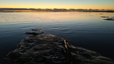 Güney Kaliforniya plaj manzarası - Encinitas California 'daki Swamis Resif Sörf Parkı' nda günbatımı, sörfçüler, gelgit havuzları, dalgalar, kayalar, kum ve palmiye ağaçları.