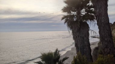 Güney Kaliforniya 'da günbatımları, sörfçüler, gelgit havuzları, palmiye ağaçları ve San Diego' nun 25 mil kuzeyindeki Encinitas sahilindeki Swamis Kayalık Sörf Parkı 'ndaki plaj soyutlamaları gizli plajlar..
