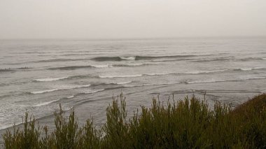 San Diego yakınlarındaki güneşli Güney Kaliforniya plaj sahneleri - Encinitas Kaliforniya 'daki Swamis Resif Sörf Parkı' nda günbatımı, sörfçüler, gelgit havuzları, dalgalar, kayalar, kum ve palmiye ağaçları.