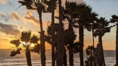 Güney Kaliforniya sahilleri, gün batımları, sörfçüler, gelgit havuzları ve palmiye ağaçları Encinitas California 'daki Swamis Resif Sörf Parkı' nda.