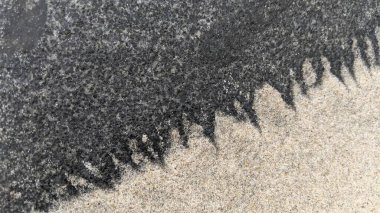 Günbatımları, sörfçüler, siluetler, gelgit havuzları, palmiye ağaçları ve okyanus kaya heykelleri ile Swamis Resif Sörf Parkı, Ay ışığı, Cardiff ve Beacons sahillerinde daha fazlası Encinitas California 'da.