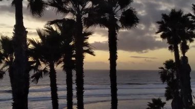 San Diego yakınlarındaki Güney Kaliforniya plajları. Encinitas kıyılarındaki Swamis Resif Sörf Parkı 'nda gün batımları, sörfçüler, gelgit havuzları ve palmiye ağaçları.