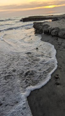 Pasifik kıyıları eski resifler, gelgit havuzları, okyanus dalgaları, palmiye ağaçları, sörf tahtaları ve deniz kuşlarının yanı sıra sıcak görünüşlü günbatımı gökyüzü ve Swamis Resif Parkı Encinitas güney Kaliforniya 'daki kaya soyutlamaları ile güzel manzaralar..